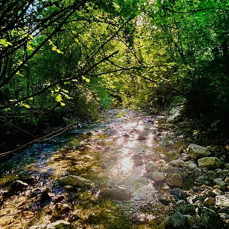 Appartamento Ferien Im Gruenen Reiterndorf Bad Ischl Esterno foto
